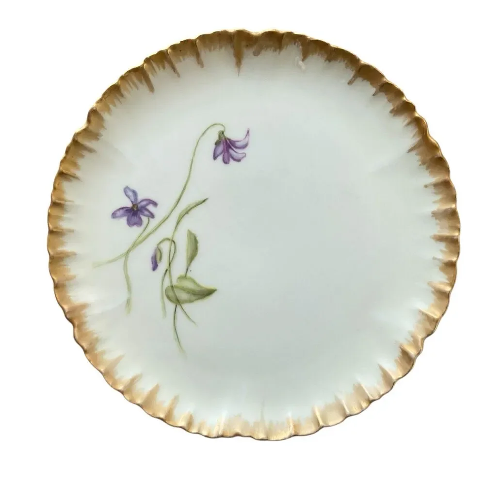 Haviland 1870-1890 Decorative Floral Plates France 7” Set of 2